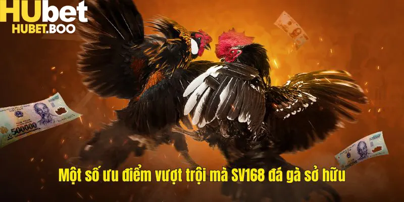 Một số ưu điểm vượt trội mà SV168 đá gà sở hữu